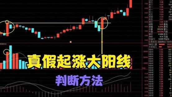 股票是什麼,如何看股票,買股票教學,股票申購流程